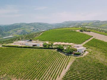 CreteTravel,Central Crete,Winery Tours at Boutari Winery (Scalarea Estate) Skalani Village