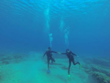 CreteTravel,South Crete,Scuba Diving - Sfakia - South Crete